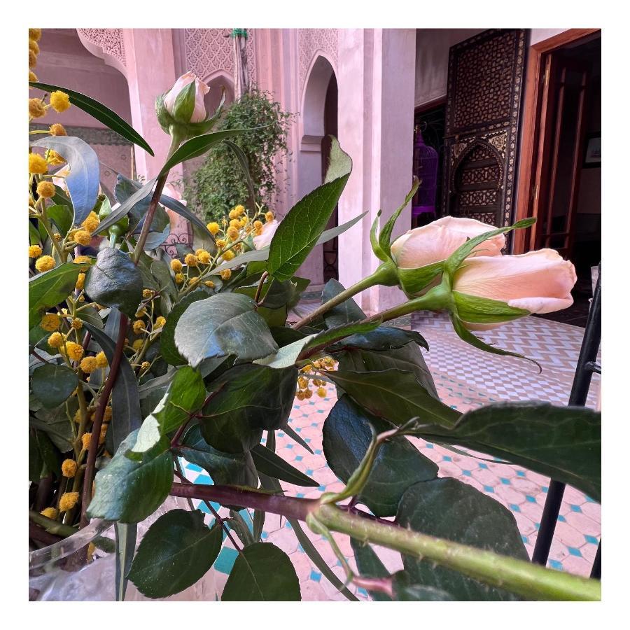 Palais Nejma Oriental Hotel Marrakesh Buitenkant foto
