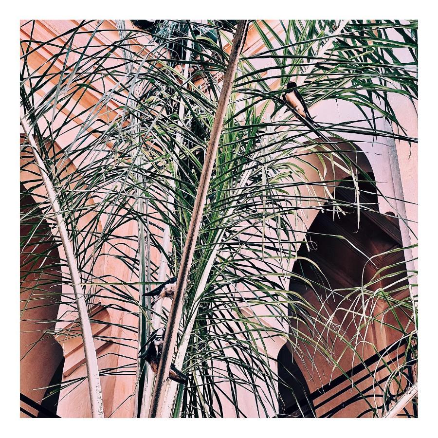 Palais Nejma Oriental Hotel Marrakesh Buitenkant foto